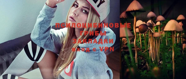 соль курить ск Арсеньев