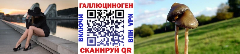 где купить   маркетплейс наркотические препараты  Галлюциногенные грибы MAGIC MUSHROOMS  Усть-Кут 