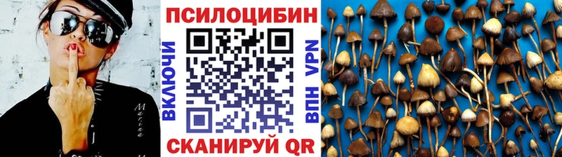 Псилоцибиновые грибы MAGIC MUSHROOMS Усть-Кут